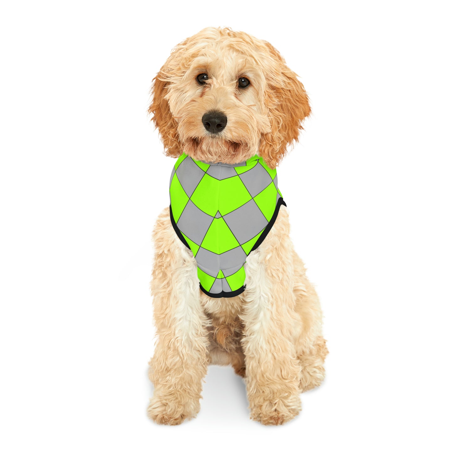 Checkers Disaster Lime Animal Hoodie