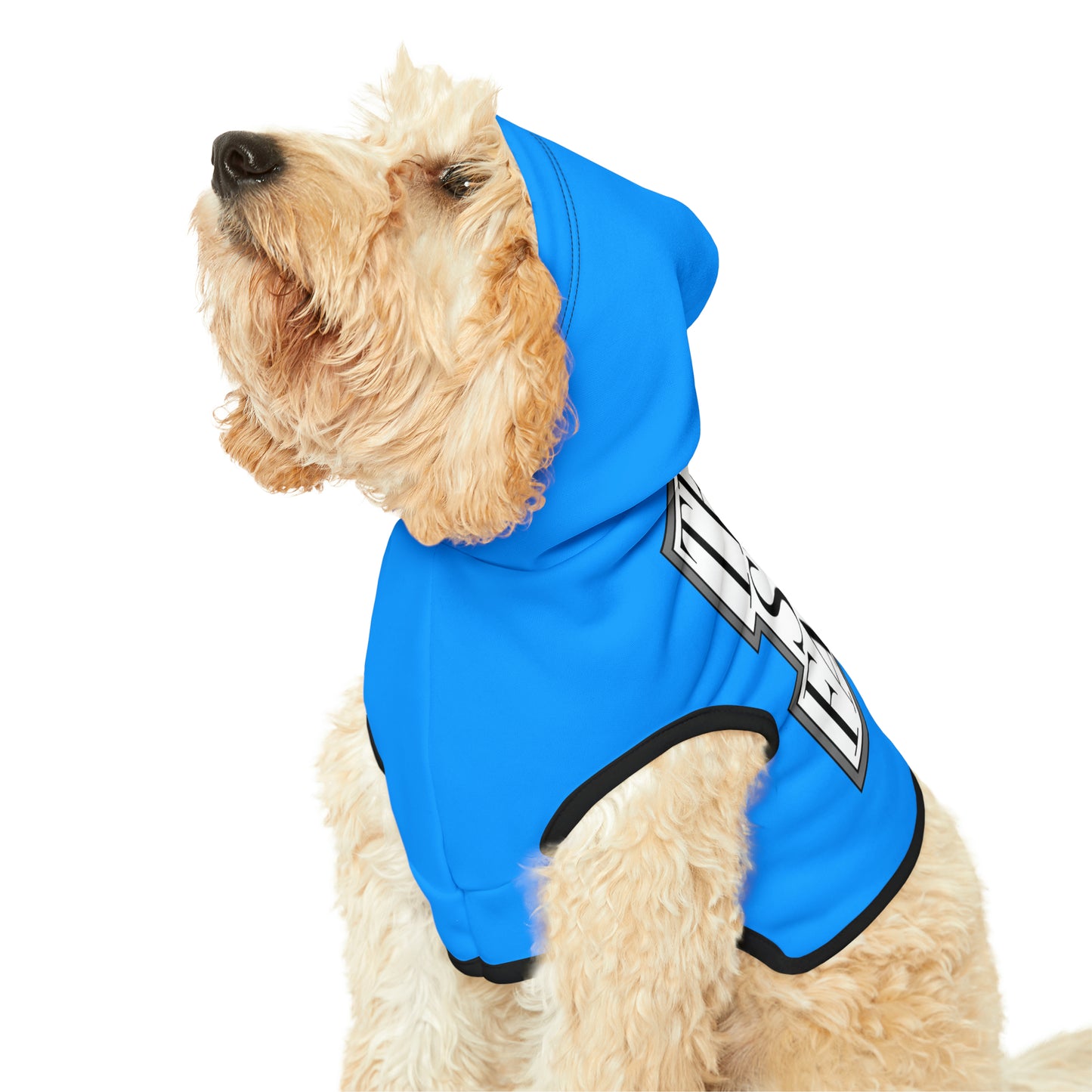 Team Stay Fancy Animal Hoodie SFA