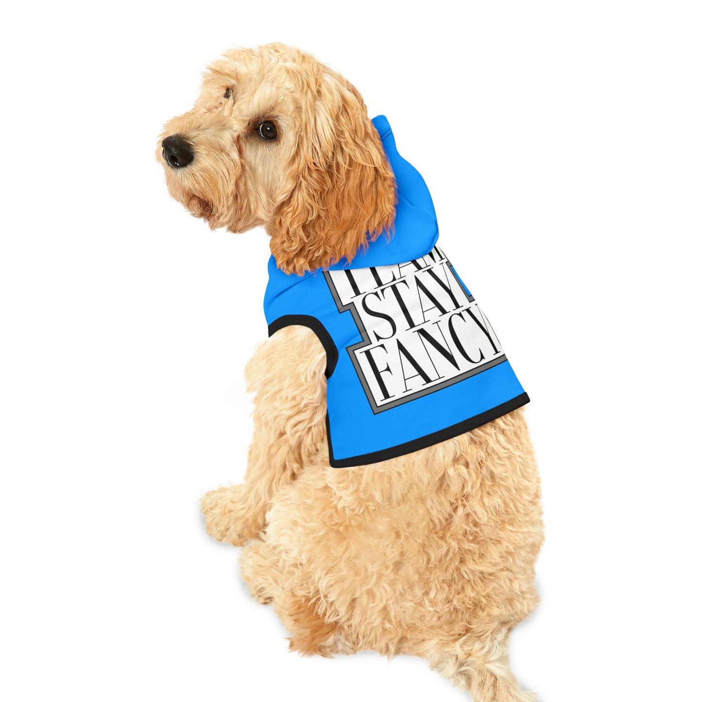 Team Stay Fancy Animal Hoodie SFA